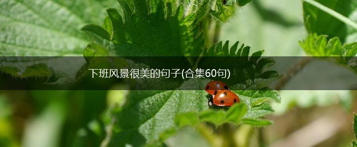 下班风景很美的句子(合集60句),第1张