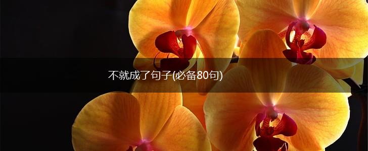 不就成了句子(必备80句),第1张