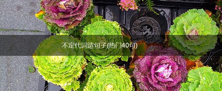 不定代词造句子(热门40句),第1张