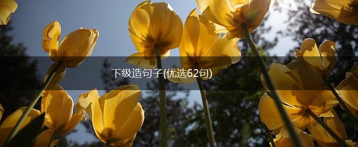 下级造句子(优选62句),第1张
