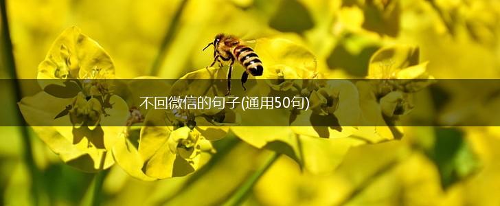 不回微信的句子(通用50句),第1张