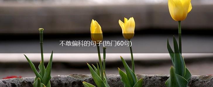 不敢偏科的句子(热门60句),第1张