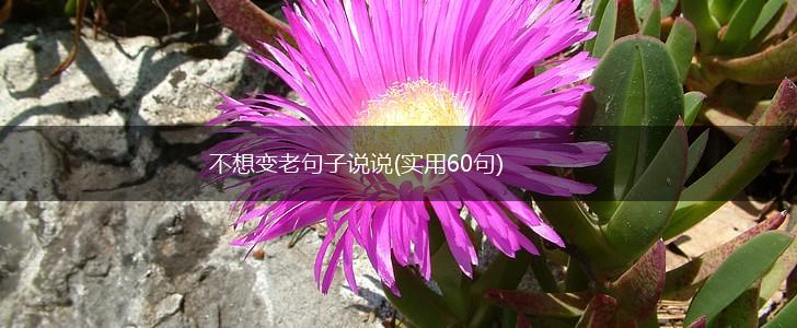 不想变老句子说说(实用60句),第1张 不想变老句子说说(实用60句),第1张