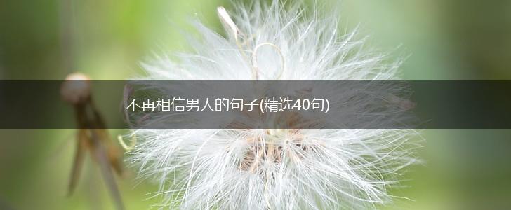 不再相信男人的句子(精选40句),第1张