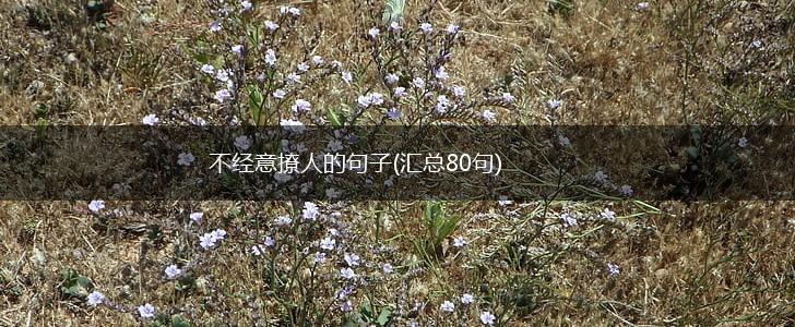 不经意撩人的句子(汇总80句),第1张