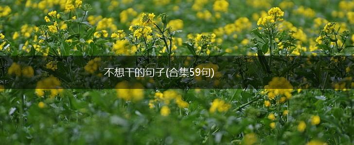 不想干的句子(合集59句),第1张