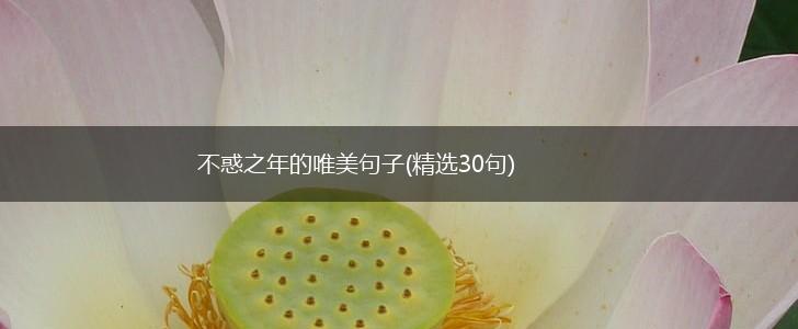 不惑之年的唯美句子(精选30句),第1张