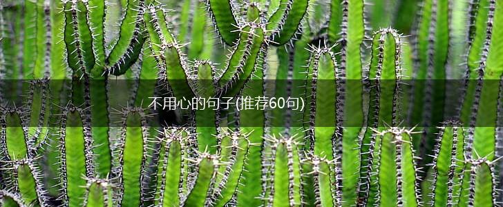 不用心的句子(推荐60句),第1张