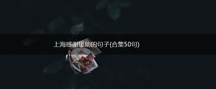 上海感谢援助的句子(合集50句),第1张