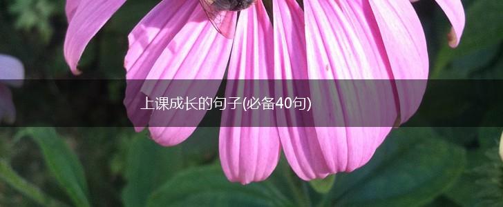 上课成长的句子(必备40句),第1张