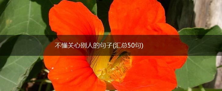 不懂关心别人的句子(汇总50句),第1张