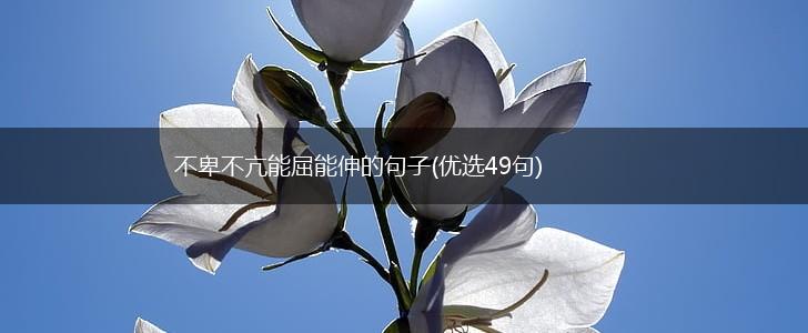 不卑不亢能屈能伸的句子(优选49句),第1张