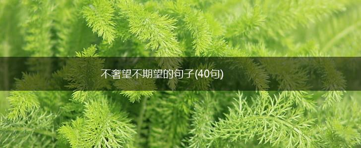 不奢望不期望的句子(40句),第1张