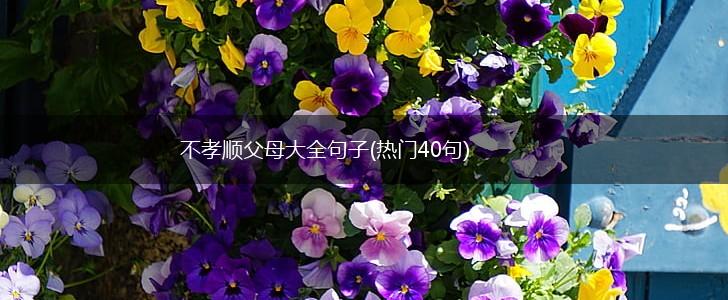 不孝顺父母大全句子(热门40句),第1张
