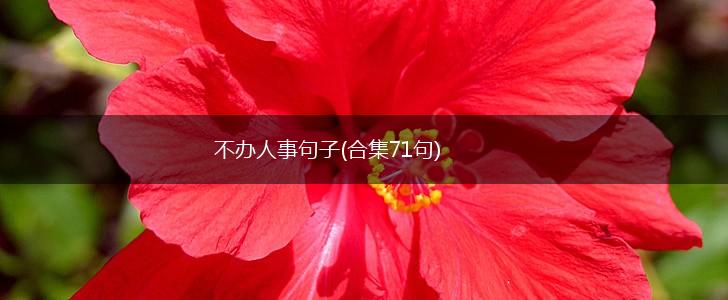 不办人事句子(合集71句),第1张
