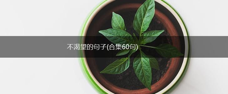 不渴望的句子(合集60句),第1张