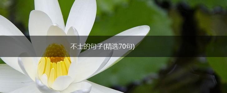 不土的句子(精选70句),第1张