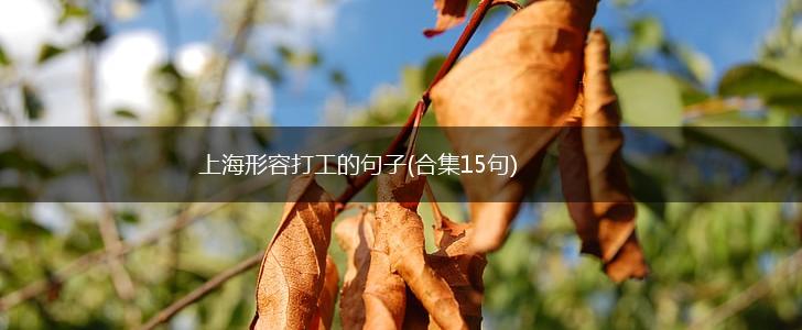 上海形容打工的句子(合集15句),第1张
