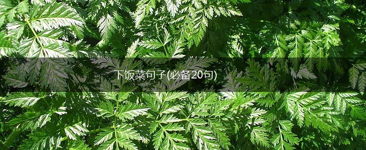 下饭菜句子(必备20句),第1张