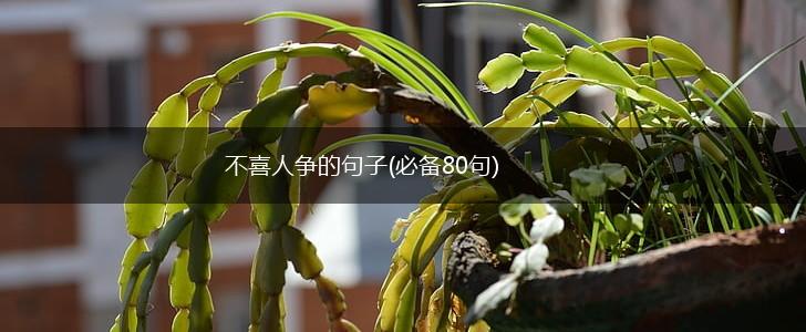 不喜人争的句子(必备80句),第1张