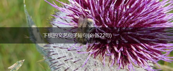 下棋的文艺句子短句(必备22句),第1张