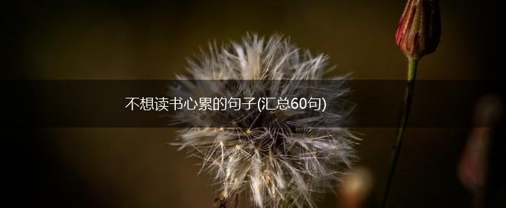不想读书心累的句子(汇总60句),第1张