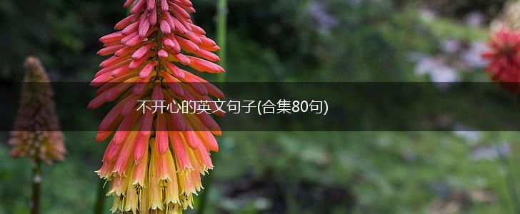 不开心的英文句子(合集80句),第1张