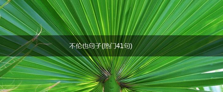 不伦也句子(热门41句),第1张