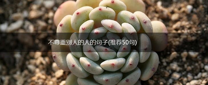 不尊重别人的人的句子(推荐50句),第1张