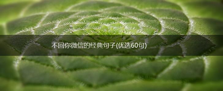 不回你微信的经典句子(优选60句),第1张