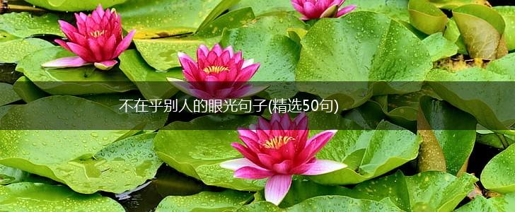 不在乎别人的眼光句子(精选50句),第1张