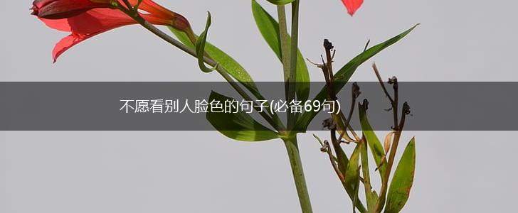 不愿看别人脸色的句子(必备69句),第1张