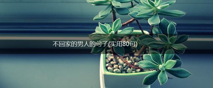 不回家的男人的句子(实用80句),第1张