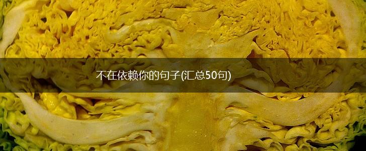 不在依赖你的句子(汇总50句),第1张