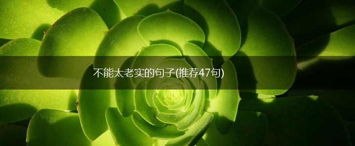 不能太老实的句子(推荐47句),第1张