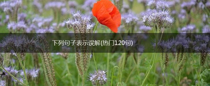 下列句子表示误解(热门120句),第1张