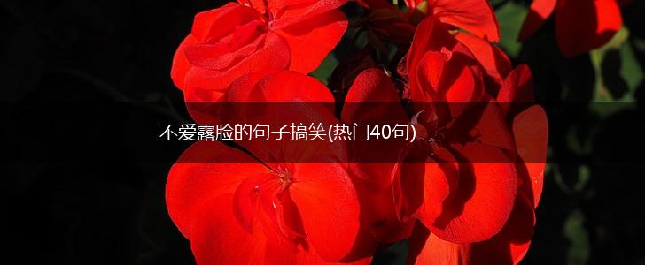 不爱露脸的句子搞笑(热门40句),第1张