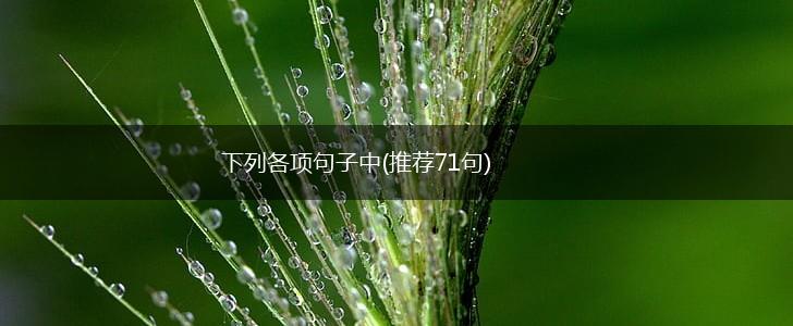 下列各项句子中(推荐71句),第1张