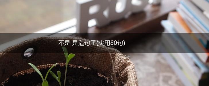 不是 是造句子(实用80句),第1张 不是 是造句子(实用80句),第1张