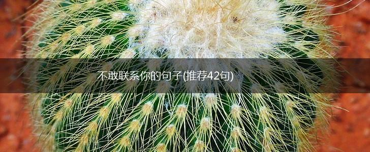 不敢联系你的句子(推荐42句),第1张 不敢联系你的句子(推荐42句),第1张