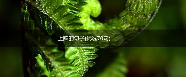 上阵的句子(优选70句),第1张