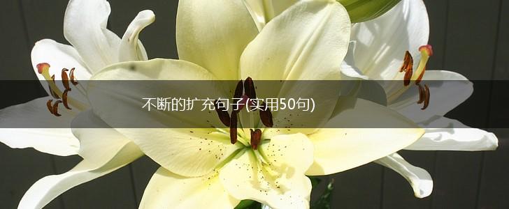 不断的扩充句子(实用50句),第1张