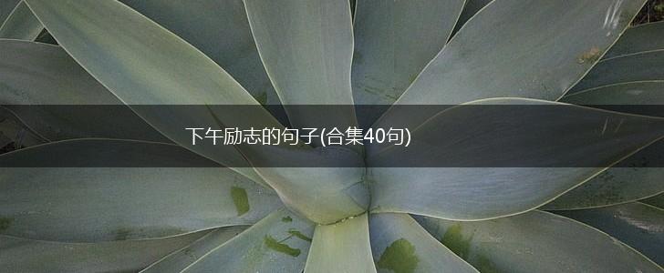 下午励志的句子(合集40句),第1张