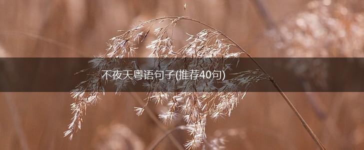 不夜天粤语句子(推荐40句),第1张