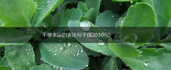 不够幸运的表达句子(汇总50句),第1张