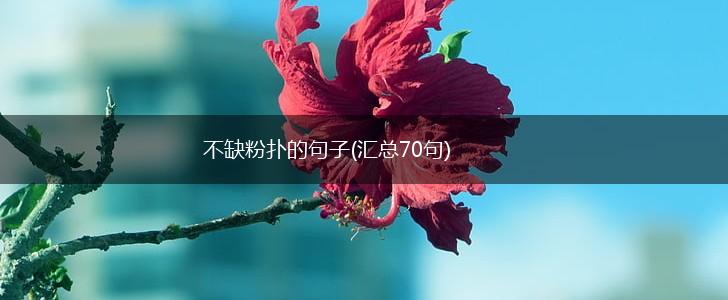 不缺粉扑的句子(汇总70句),第1张