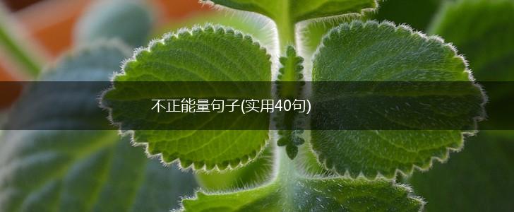 不正能量句子(实用40句),第1张