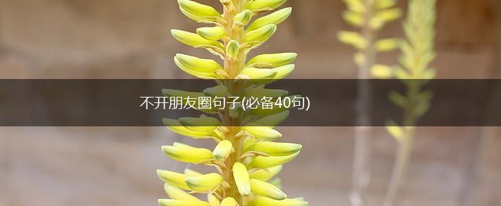 不开朋友圈句子(必备40句),第1张