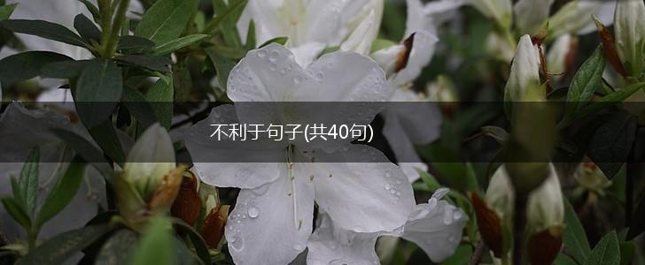 不利于句子(共40句),第1张
