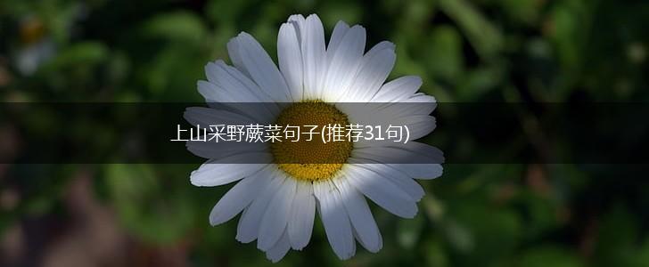 上山采野蕨菜句子(推荐31句),第1张